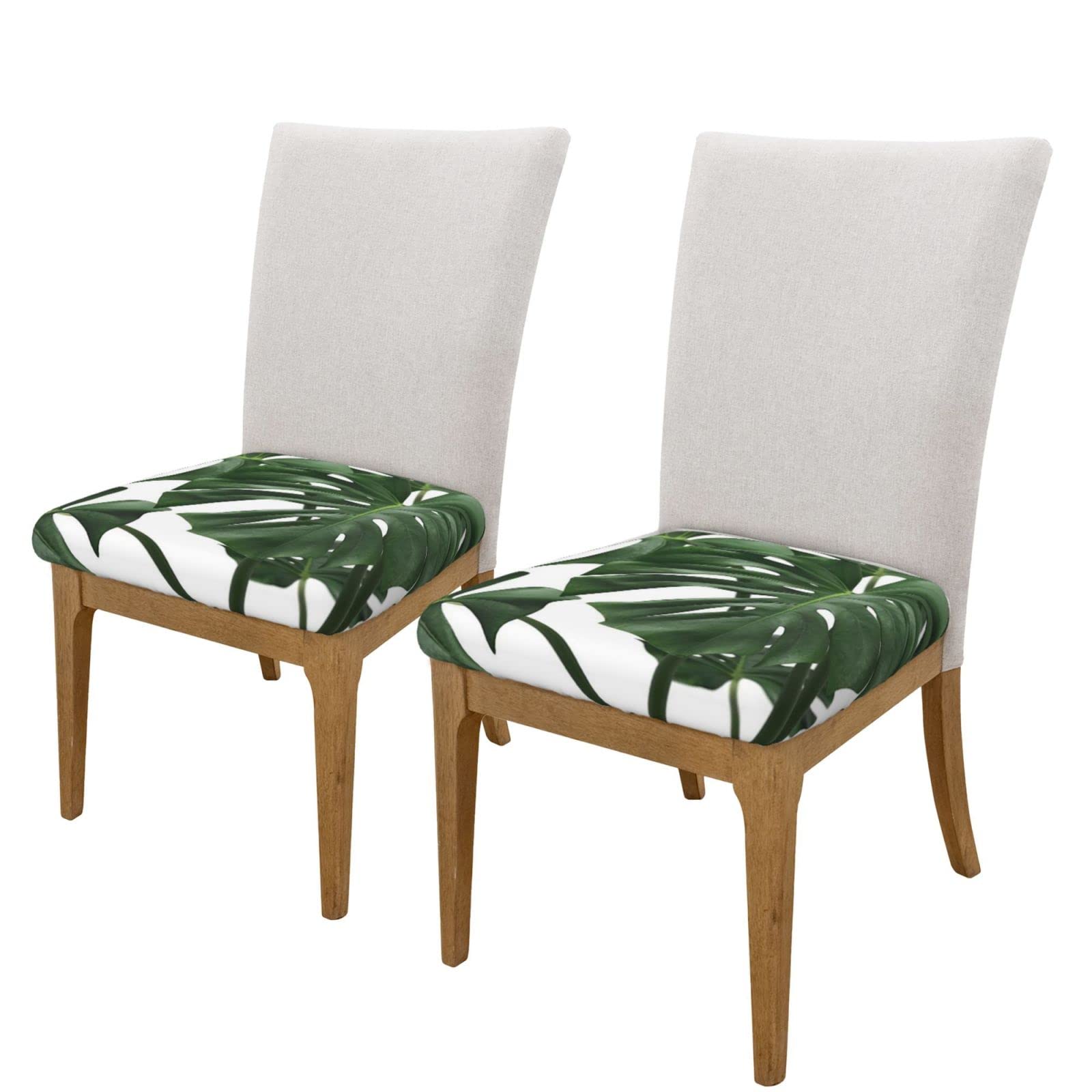 Amazon.de: Monstera Stuhl-Sitzbezge mit Blttern-Aufdruck, weich,  waschbar, fr Esszimmerstuhl, fr Kche, Hotel, Bro