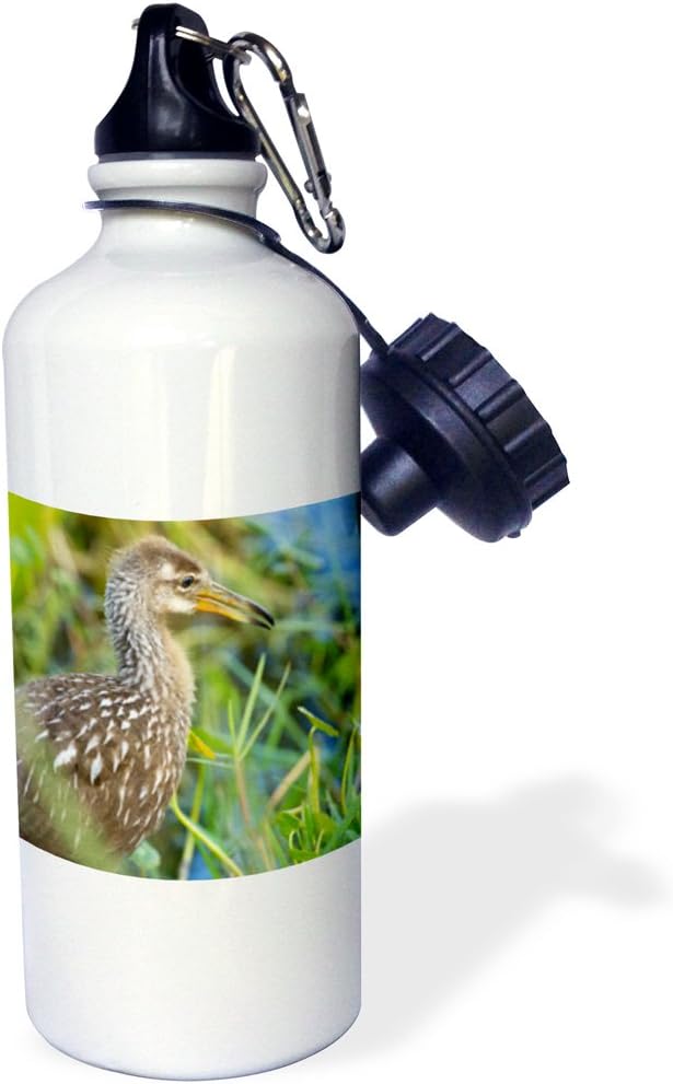 3dRose "Limpkin bird, Viera wetlands, Florida, USA-US10 MPR0515-Maresa Pryor" Sports Water Bottle, 21 oz, White
