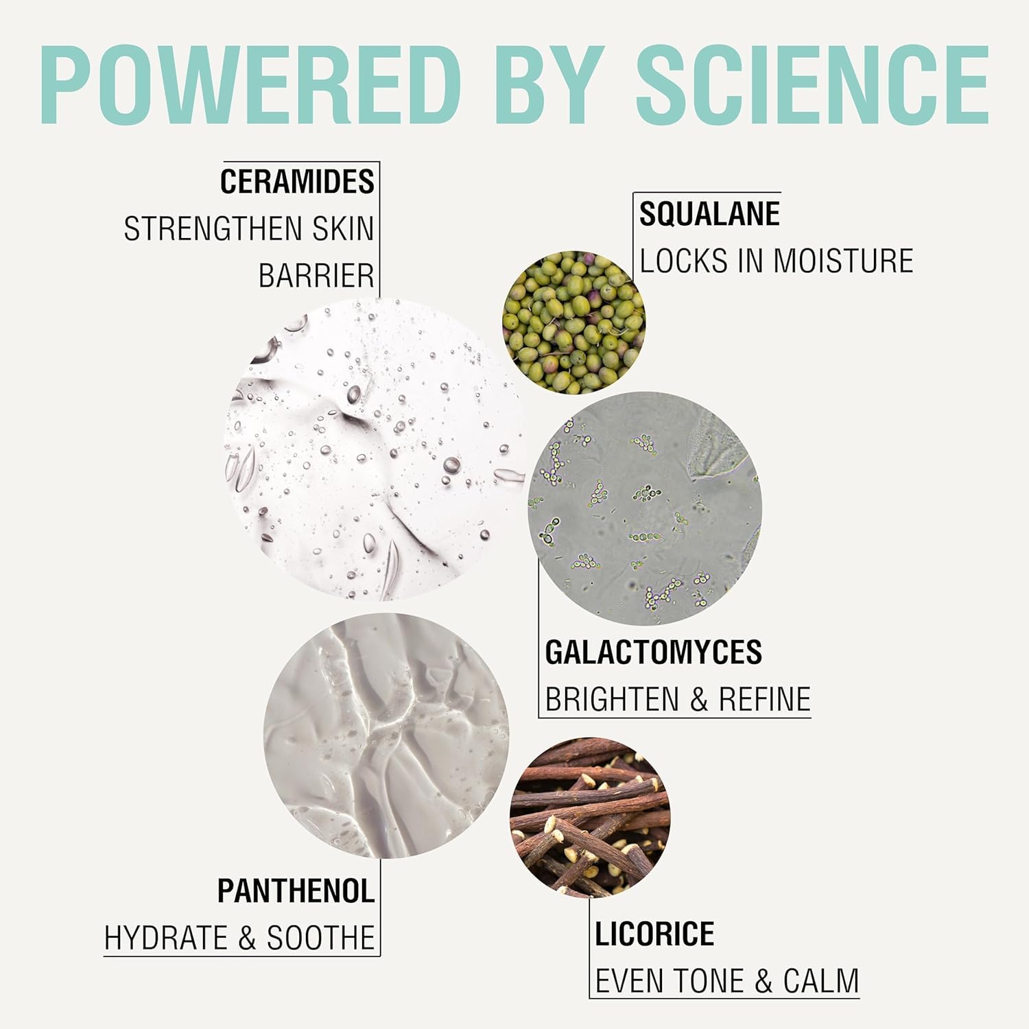 NOVEHA Daily Sensitive Augencreme, feuchtigkeitsspendende Augenlid-Feuchtigkeitscreme mit Ceramiden, beruhigende Anti-Aging-Augenlotion für feine Linien, Schwellungen und Krähenfüße, vegan, parfümfrei