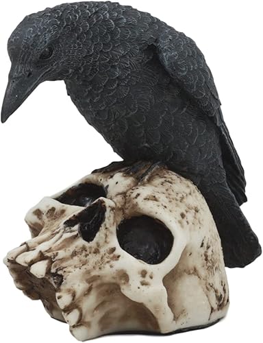 Ebros - Estatua de cuervo oscuro de cuervo en calavera de 5 pulgadas de alto, osario carroñero de pájaro de cuervo posado en esqueleto