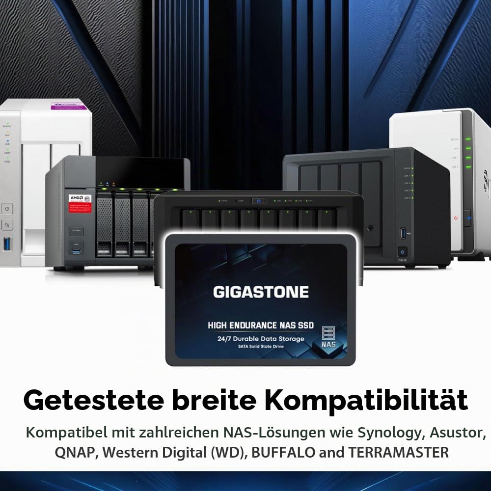 Gigastone NAS Zertifiziert 512GB SSD Festplatte (2er-Pack) TLC Hohe Dauerhaltbarkeit SSD für 24/7 Dauerbetrieb NAS-Systeme RAID 2,5 Zoll SATA III Internes Festkörper-Laufwerk SSD Caching