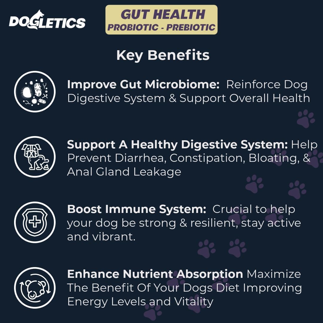 Gut Health Probiotic & Prebiotic - 90ct Support Stomach Microbiome, Prevent Digestive Problems, Reduce Anal Gland Issues, Improve Immune Function and Overall Energy