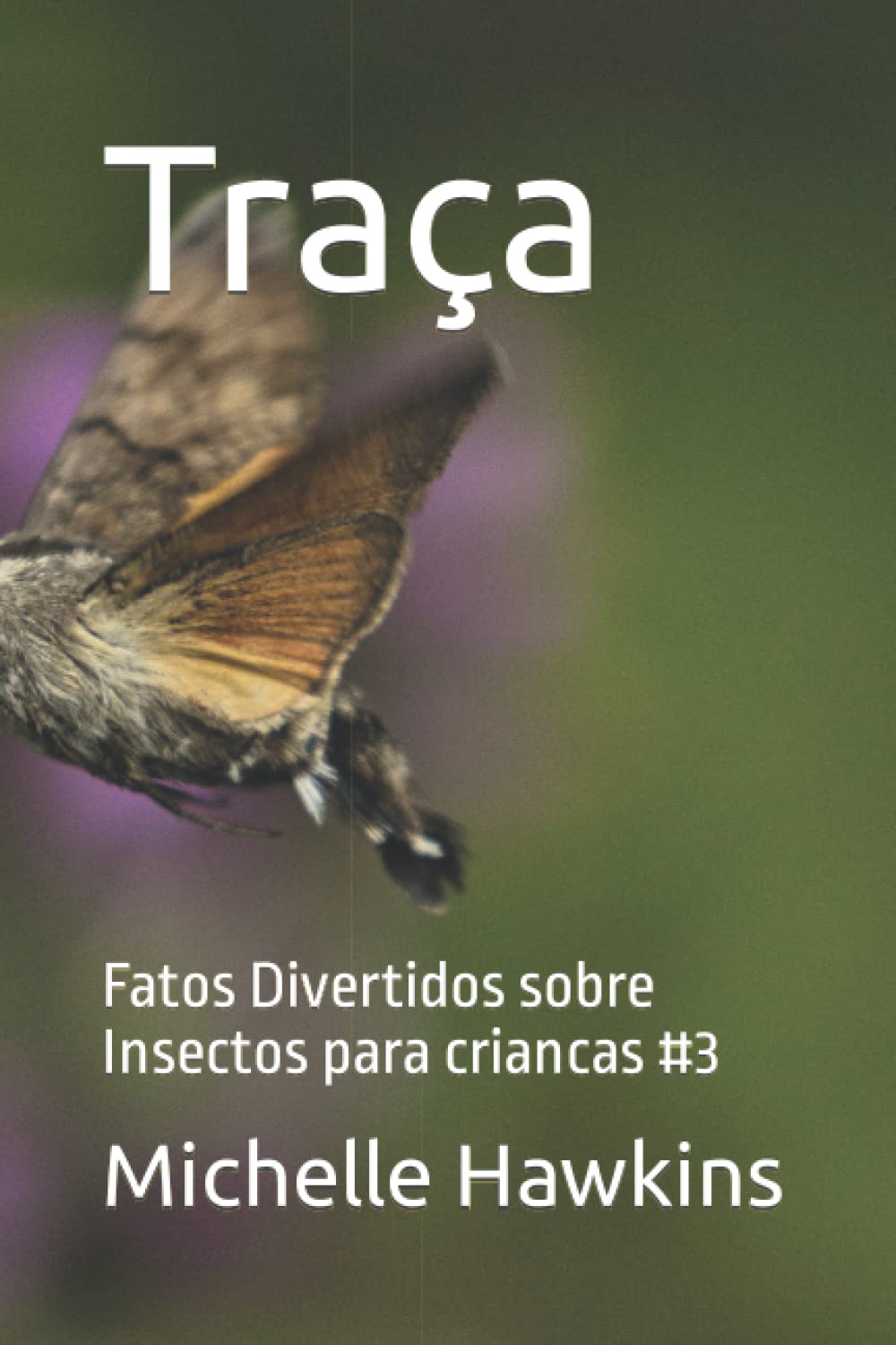 Traca Fatos Divertidos Sobre Insectos Para Criancas 3 Fatos Divertidos ...