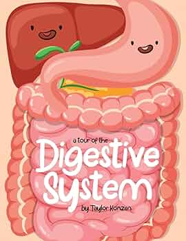 洋書 The Gastrointestinal System 洋書 The Gastrointestinal System 洋書 The Gastrointestinal System