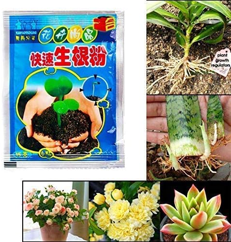 Rapid Rooting Powder Agent for Fruit Tree Cutting Flower Plants, Finest Extra Fast Plant Flower Rooting Powder Quick Growth Transplant Fertilizer - Making it an Ideal Gift for Gardeners (30PCS)