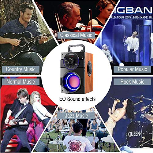 TAMPROAD Portable Bluetooth Speakers with woofer, FM Radio, LED Lights, EQ, Booming Bass, Bluetooth 5.0 Wireless Stereo Powerful Outdoor/Indoor Party Speakers for Home, Camping, Travel