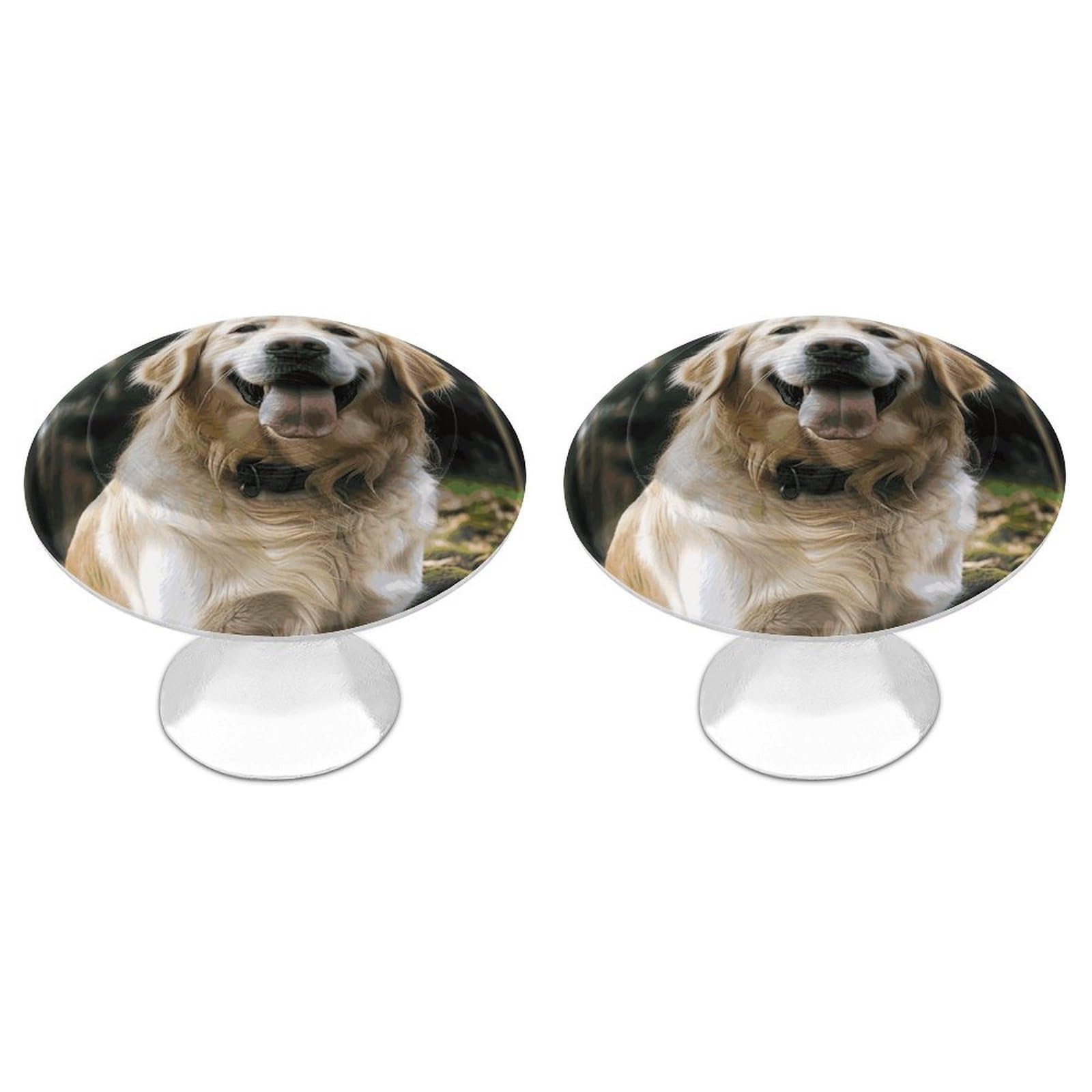 FekiLoot Funny Golden Retriever Cabinet Knob Kitchen Drawer Knob Stainless Steel Round Drawer Pulls Modern Cabinet Hardware Vintage Dresser Drawer for Kitchen Bathroom Closet Dresser Cabinets