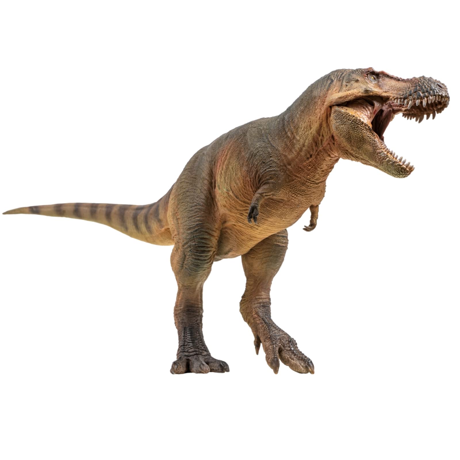 Figurine Tyrannosaure AMITD 58 Luxiong cadeau idéal pour amateurs de paléontologie