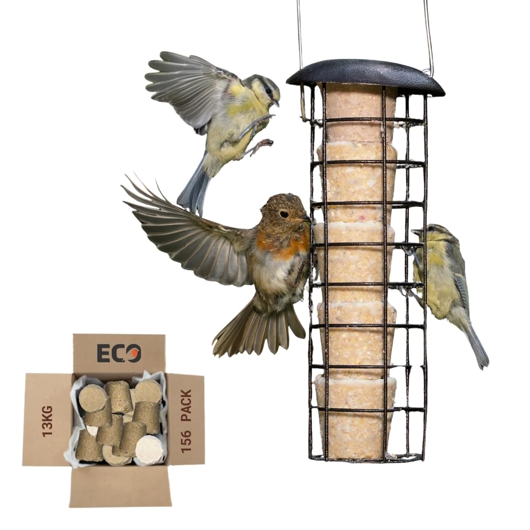 Eco Bird Food Seasonal Suet Cakes – 13kg Pack of 156 – Plastic-Free, Recyclable, Biodegradable Packaging – Low-Waste, High-Energy Wild Bird Feed – UK-Made with Seasonal Ingredients
