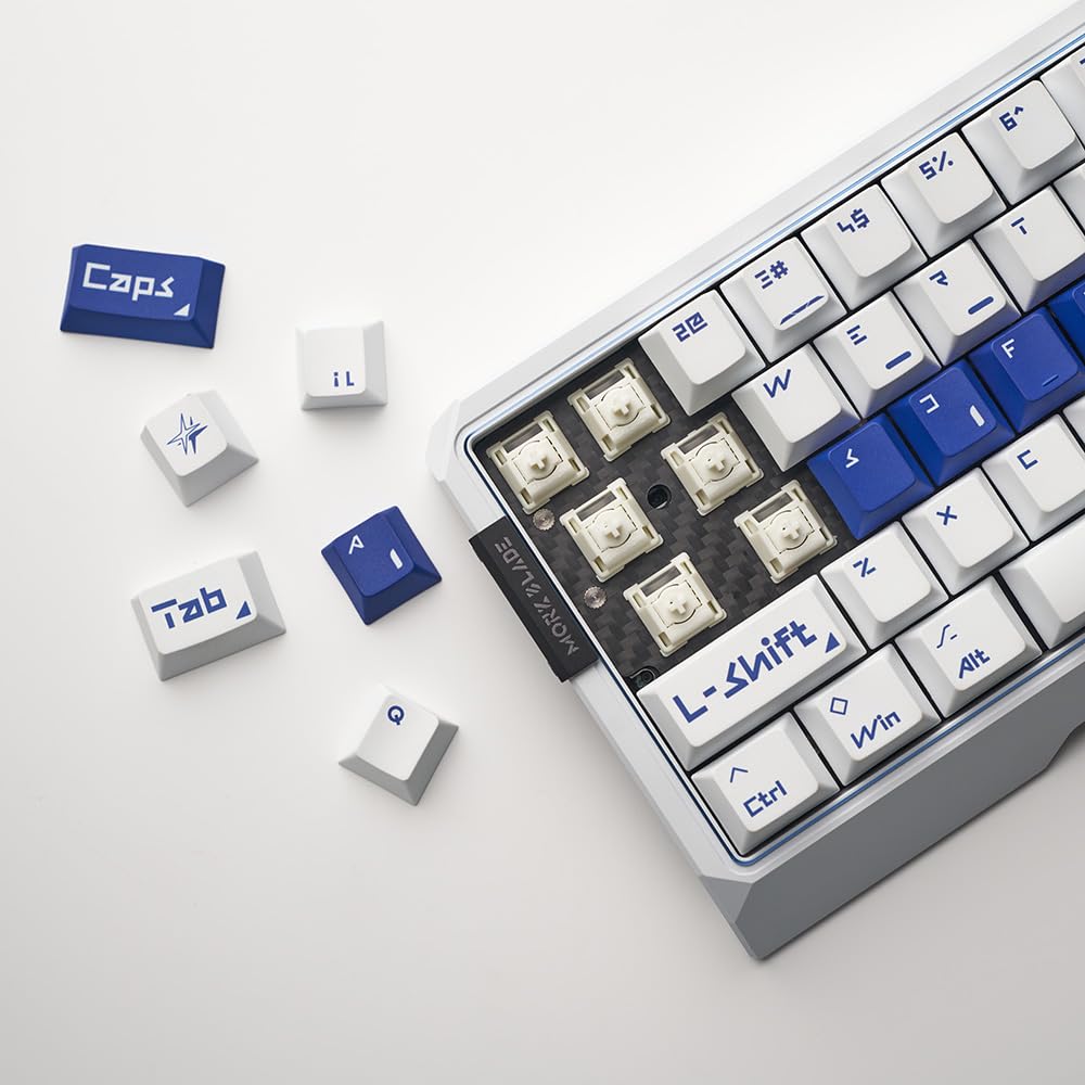 MorkBlade MK60 White Rapid Trigger Keyboard 8000 Hz : Amazon.sg