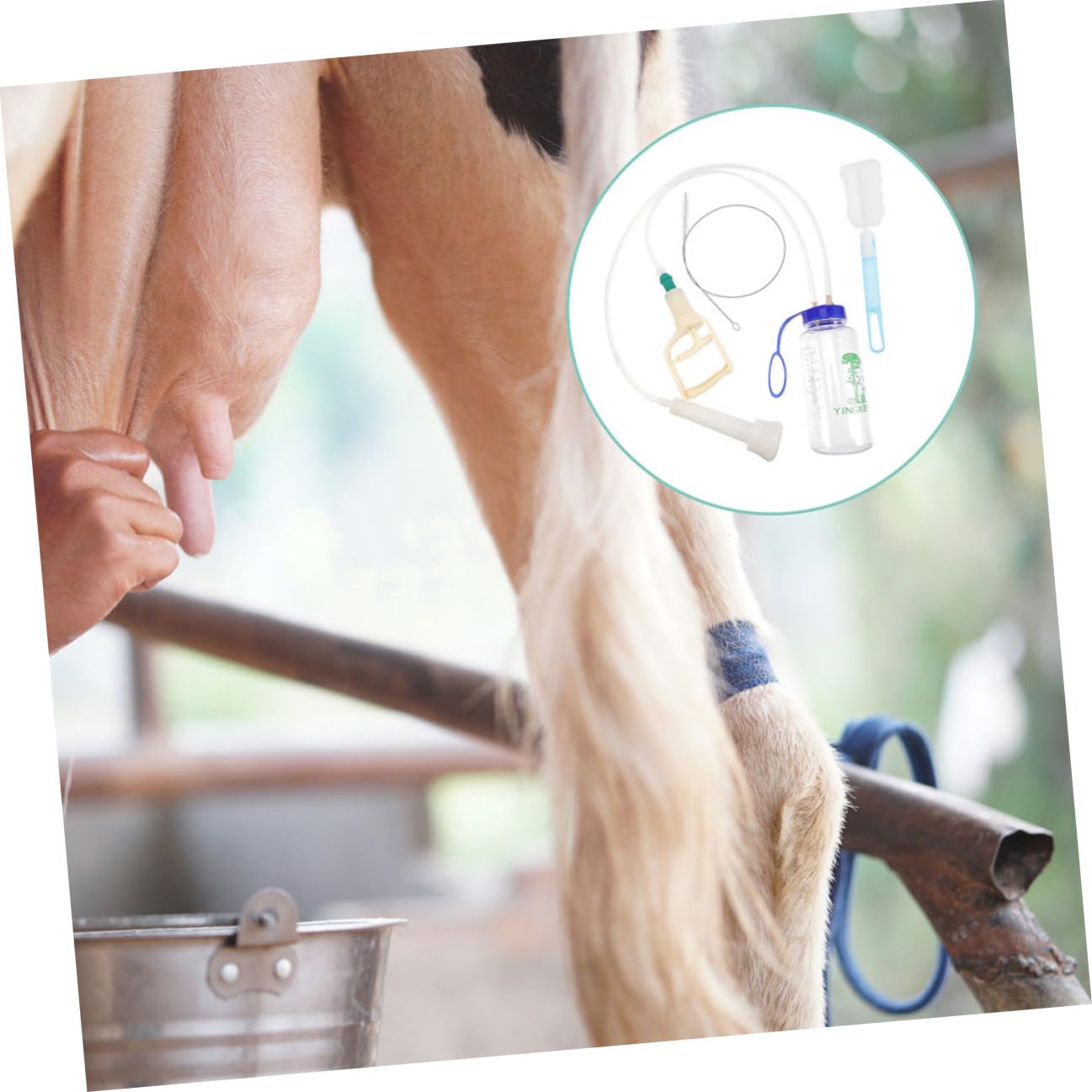 Mungitrice manuale per pecore Pompa a mano Mungitrice portatile per uso agricolo con tazza singola e pompa a vuoto - Forniture per mungitura di mucche e capre in plastica, accessorio per la