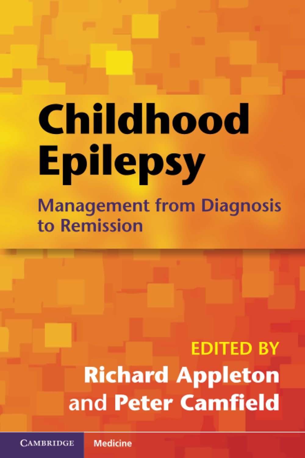 Childhood Epilepsy: Management from Diagnosis to Remission