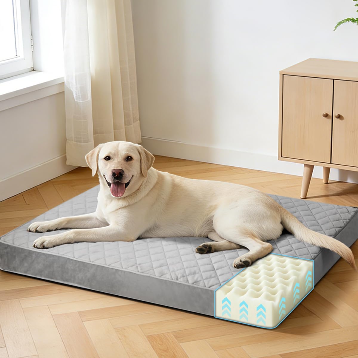 NUPIDA Orthopedic Dog Beds for Extra Large with Washable Cover, 44x32, Grey — image 1