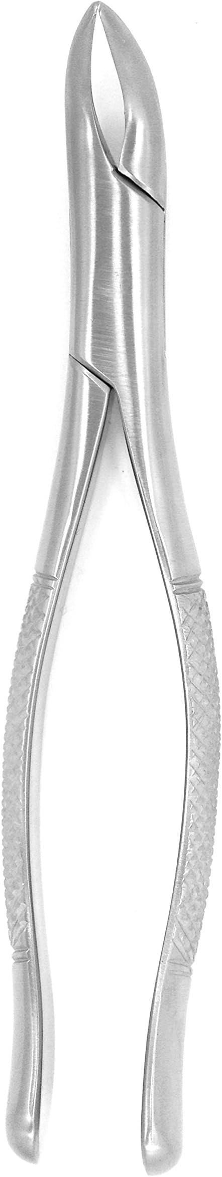 36-151S Extraction Forceps, 151S
