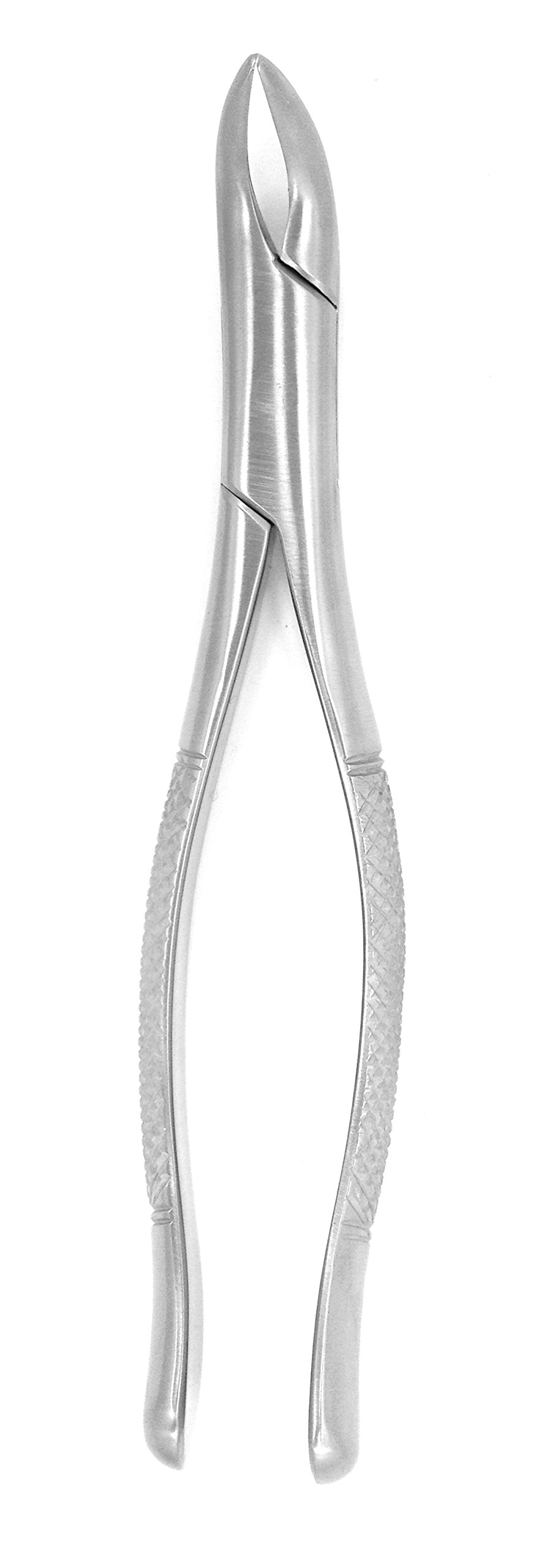 36-151S Extraction Forceps, 151S