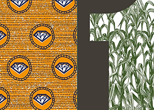 Aqualtune e as histórias da África