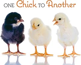 One Chick to Another