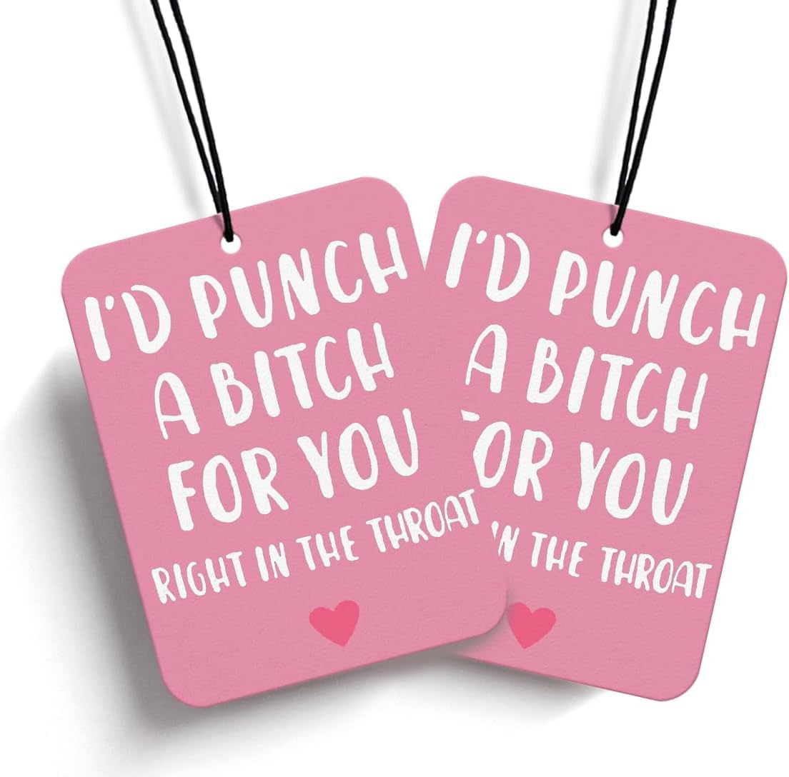 Newdv I'd Punch A Bitch Funny Car Air Fresheners,Pink