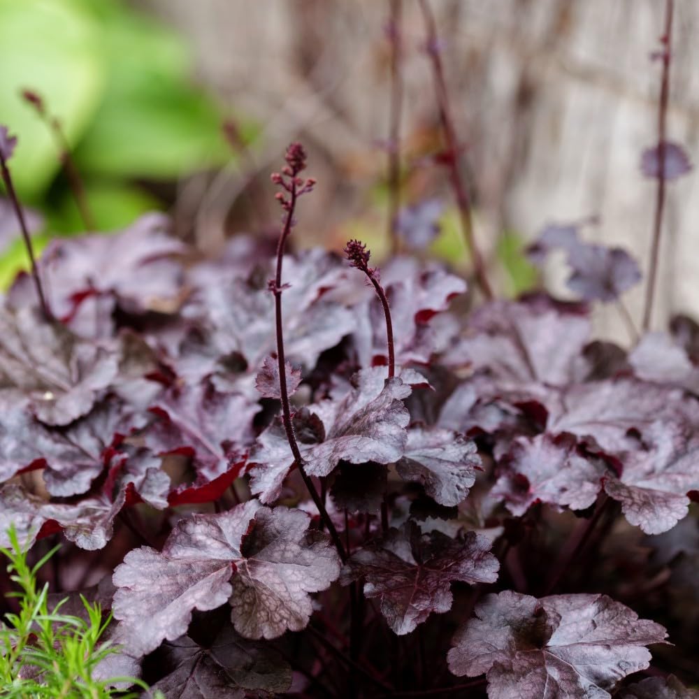 View 2