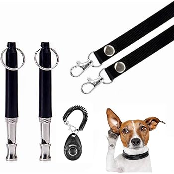 how to use a dog clicker to stop barking