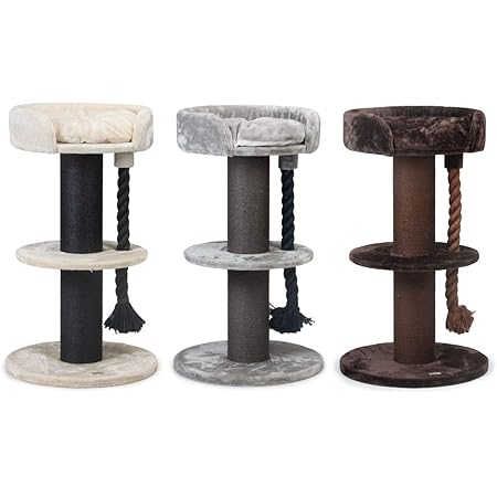 kazoo scratching post