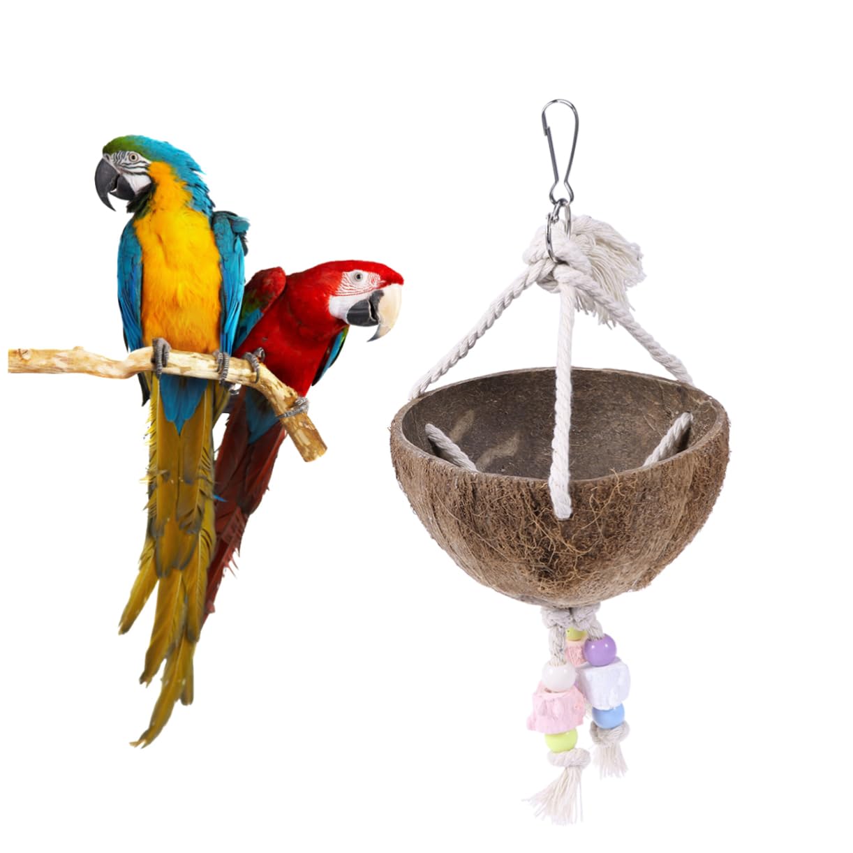 BESPORTBLE 3 Pièces balançoire Perroquet Porte-os de seiche la balançoire Jouer Petit Jouets balançoires nid de Perroquet Jouet en Bois Longue Fournitures pour Oiseaux Bambou
