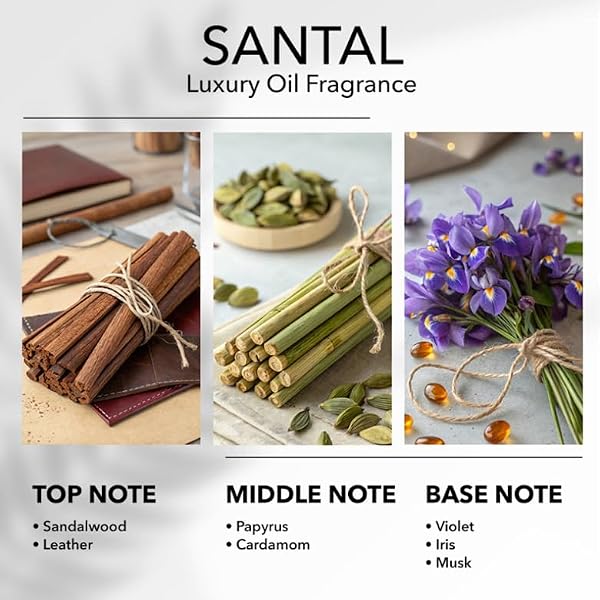 Aromify Santal Diffuser Oil, 16.9 FL Oz, 500 mL, Diffuser Fragrance Oil for Home, Bathroom & Office, Aromatherapy Blend of Natural Essential Oil, Sandalwood & Musk Scent. by Aromify - Used condition - Image 5