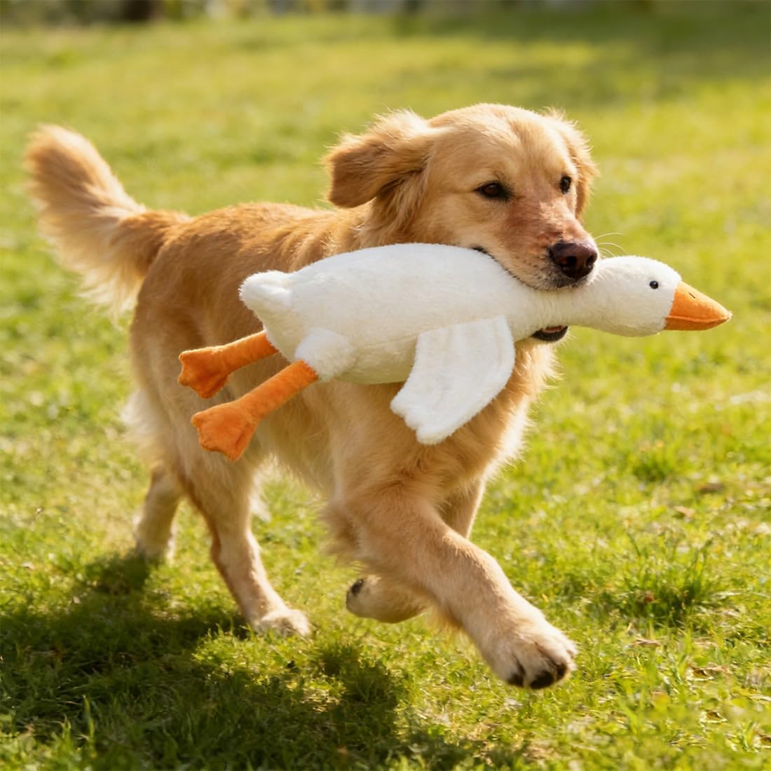 hwqsad 2026 New Large Plush White Duck Dog Toy - Realistic Goose, Anxiety Relief White Duck Dog Toy, Interactive Goose Dogs Toys, for Chewers, Small/Medium/Large Dogs Playing & Training (51.2IN)
