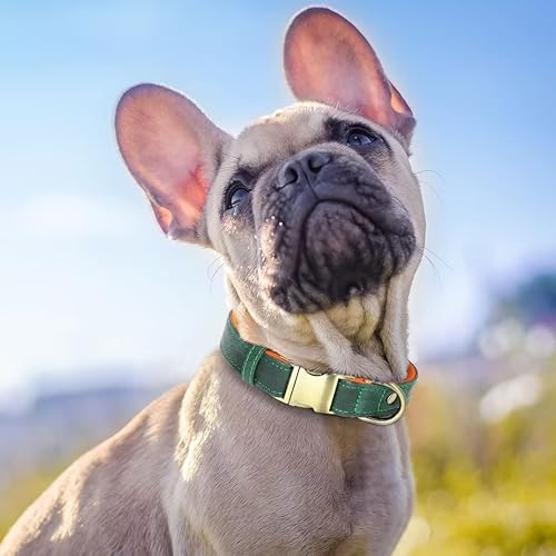 Miniatura 2 de Beirui Collar de perro acolchado de cuero suave y transpirable, collar de perro de cuero resistente con hebilla duradera de liberación rápida,