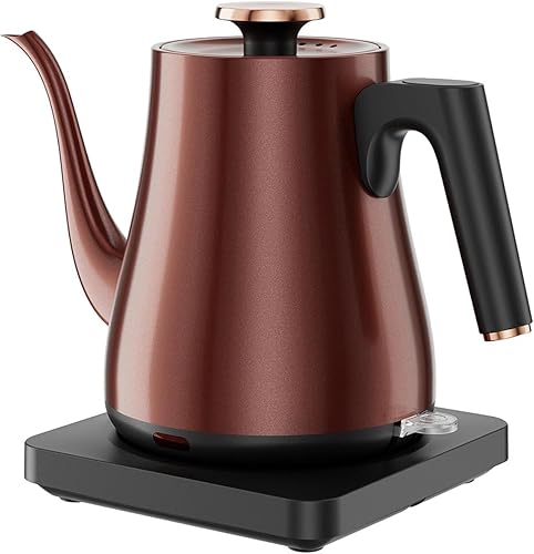 Hervidor eléctrico de cuello de cisne 1.0L, 1000 W de hervir rápidamente en 4 minutos, hervidor de té de acero inoxidable, hervidor de café para