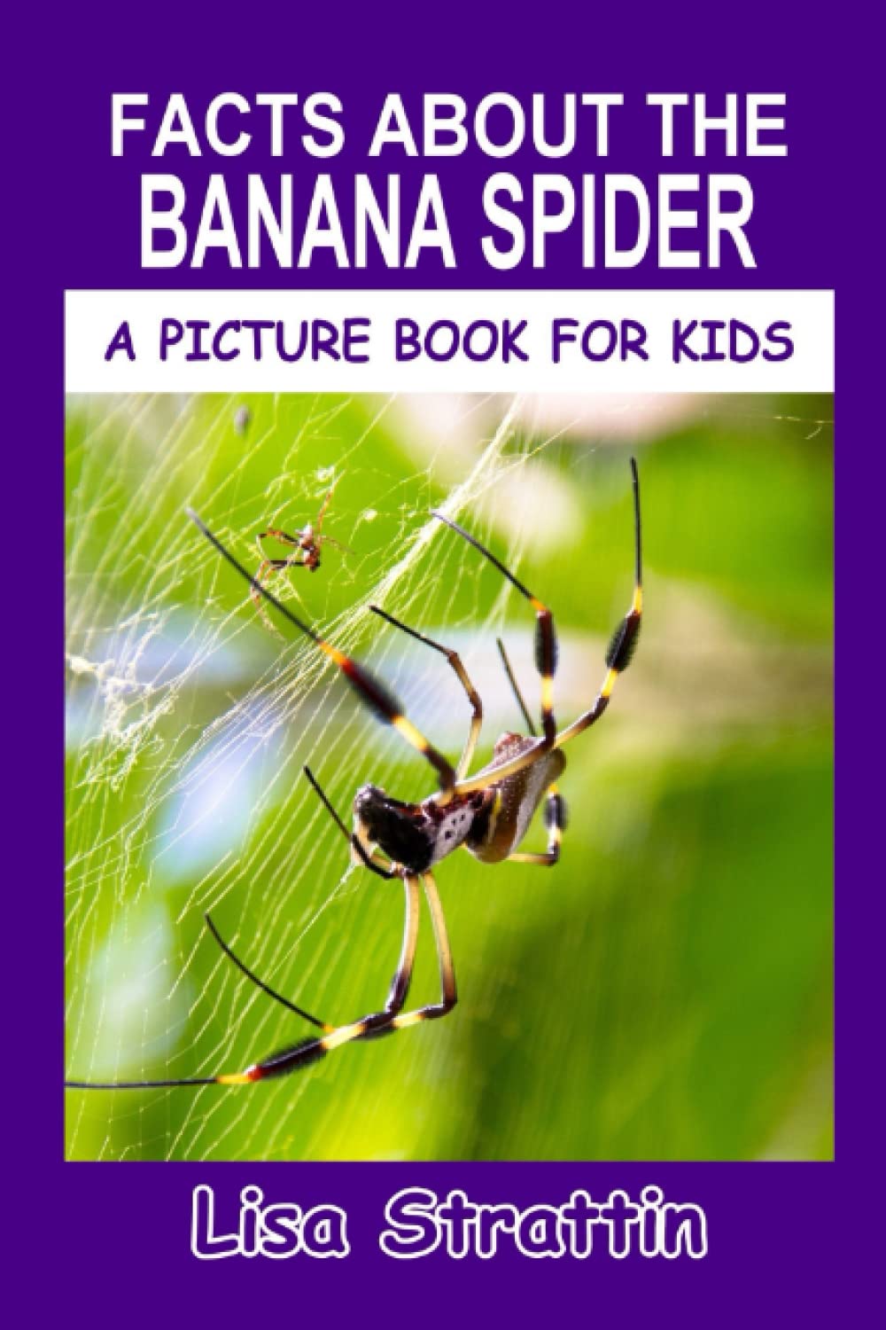 Facts About the Banana Spider (A Picture Book For Kids)