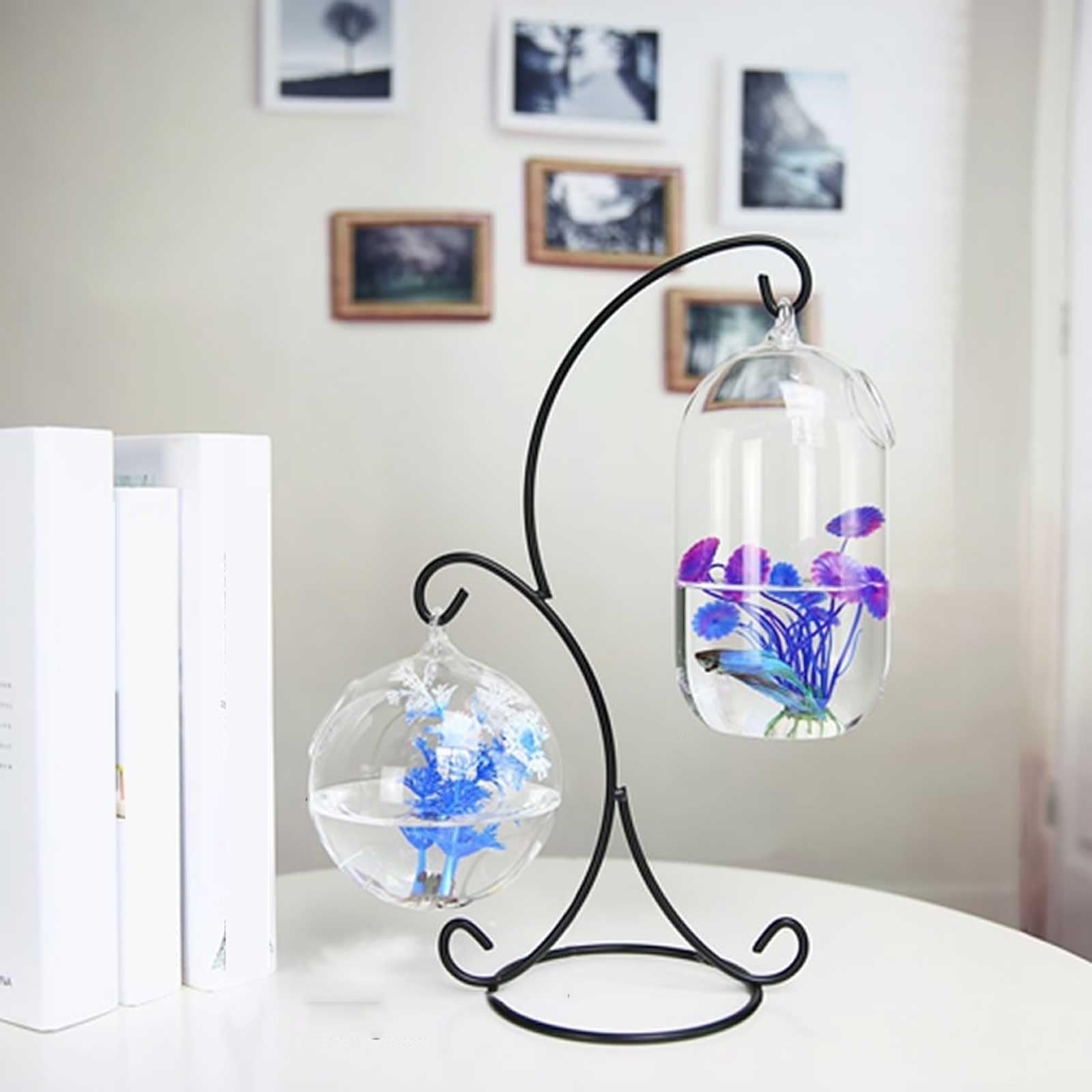 Lot de 2 petits aquariums à suspendre avec cadre en métal et verre
