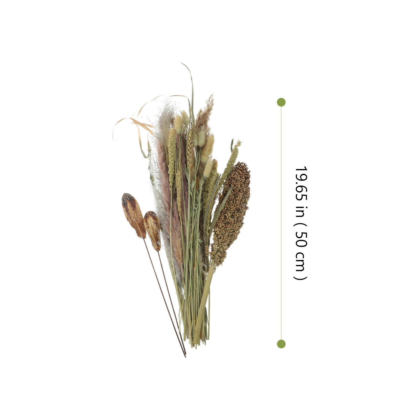 Zerodeko Ramo de Flores Secas Caña y Sorgo para Ambiente Rústico del Hogar y Jarrón, Adecuado para Bodas y Adorno Natural en Interiores