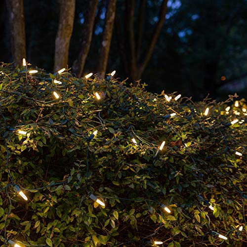 Set of 100 Warm White LED Net Lights – Christmas Net Lights, Outdoor Christmas Decorations, Green Wire (4 x 6 ft, M5 Lights, LED Warm White)