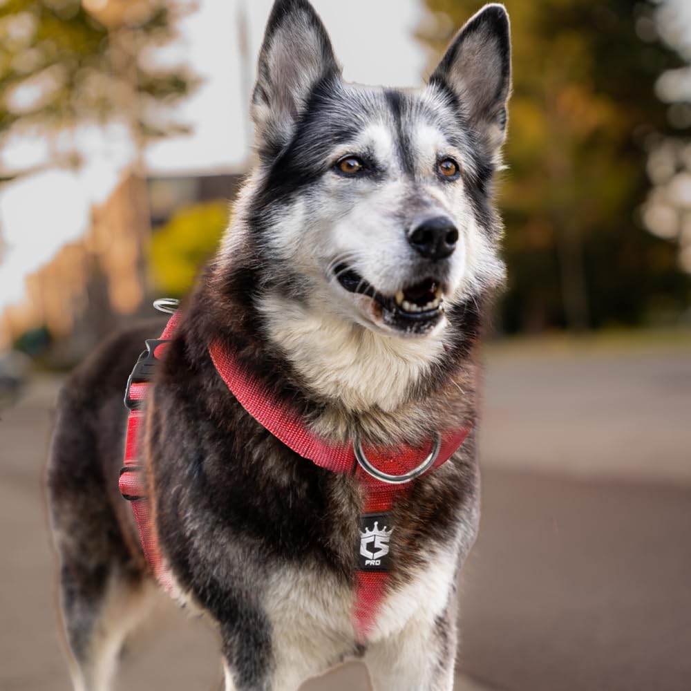 TSPRO Schweres Taktisches Hundegeschirr für Mittelgroße bis Große Hunde | Robustes Material, Schnellverschluss, Gepolsterter Griff, 3,8 cm Breit, Verstellbar, Zugfreies Design, Ideal für Spaziergänge