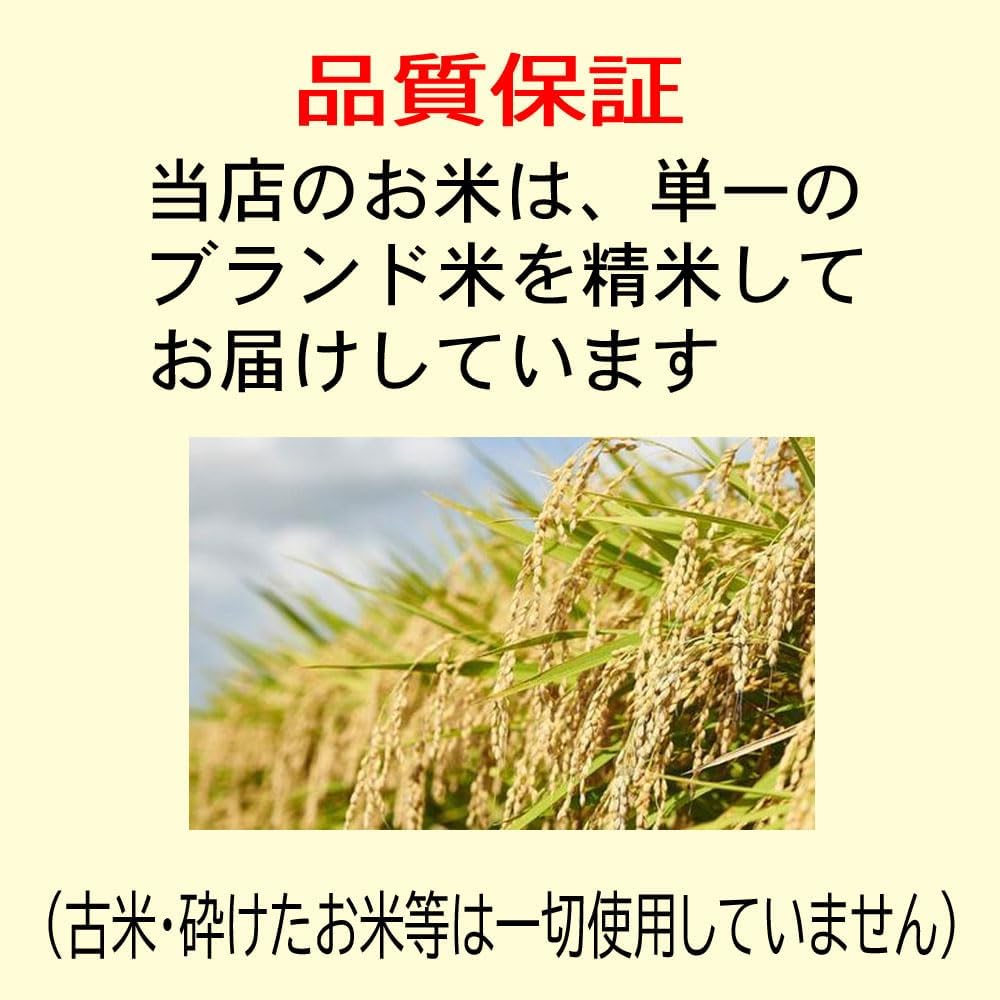 【玄米】減農薬米 さがびより 令和7年産 特別栽培米 佐賀産 10kg (5kg&times;2袋) JA白石 玄米のまま (5k&times;2)