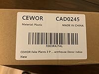 Review Image by Kesha B Kesha B