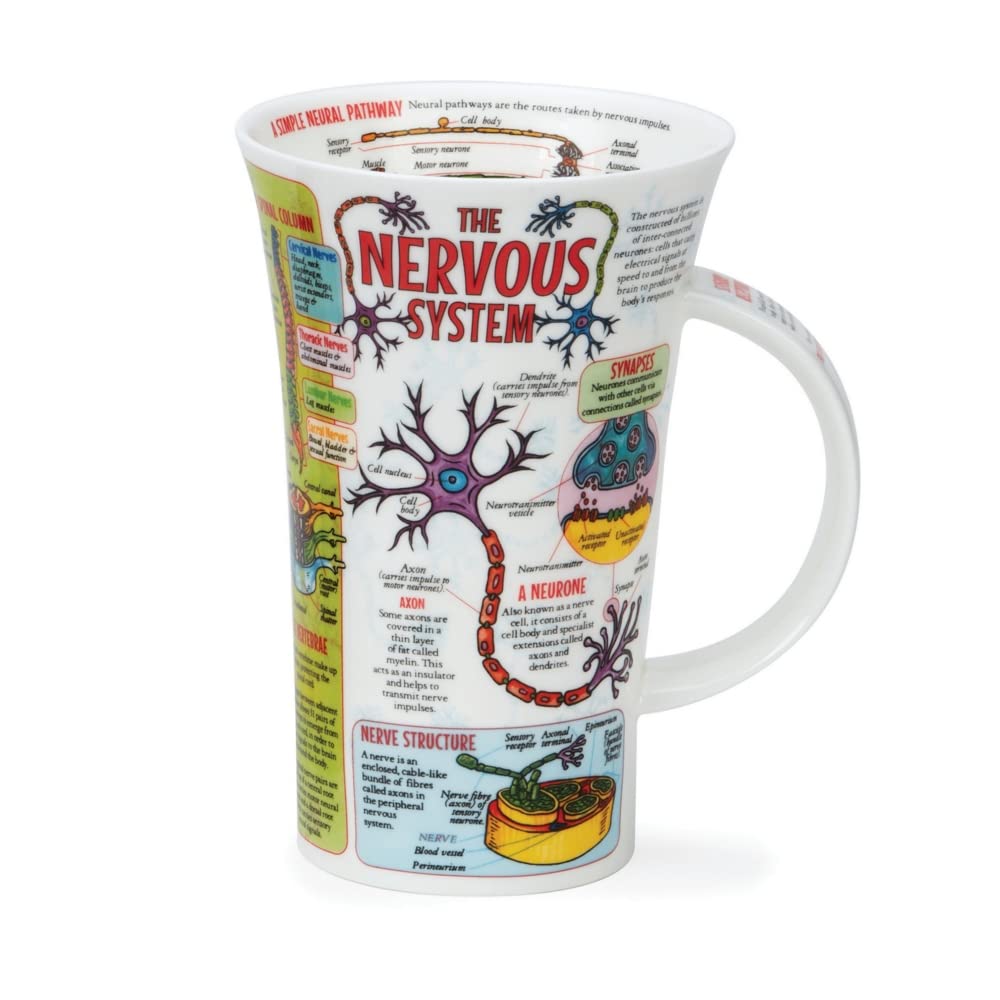 Dunoon Glencoe 0.5 Litre Fine Bone Chiana Mug The Nervous System, White