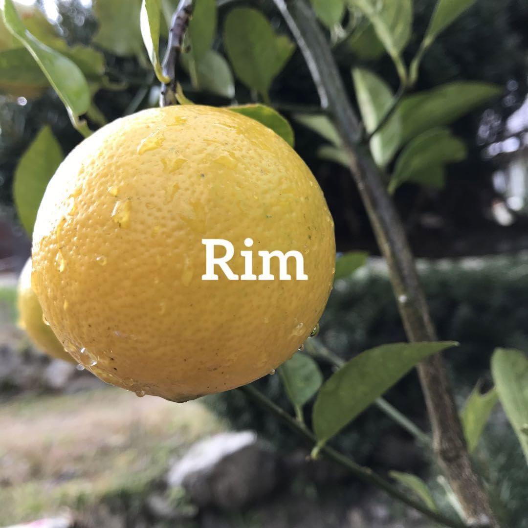 無農薬 レモン✳︎ スイートレモネード ✳︎ レモネードレモン 実 gwtcs7 Amazon.co.jp: 無農薬 レモン︎ スイートレモネード ︎ レモネード