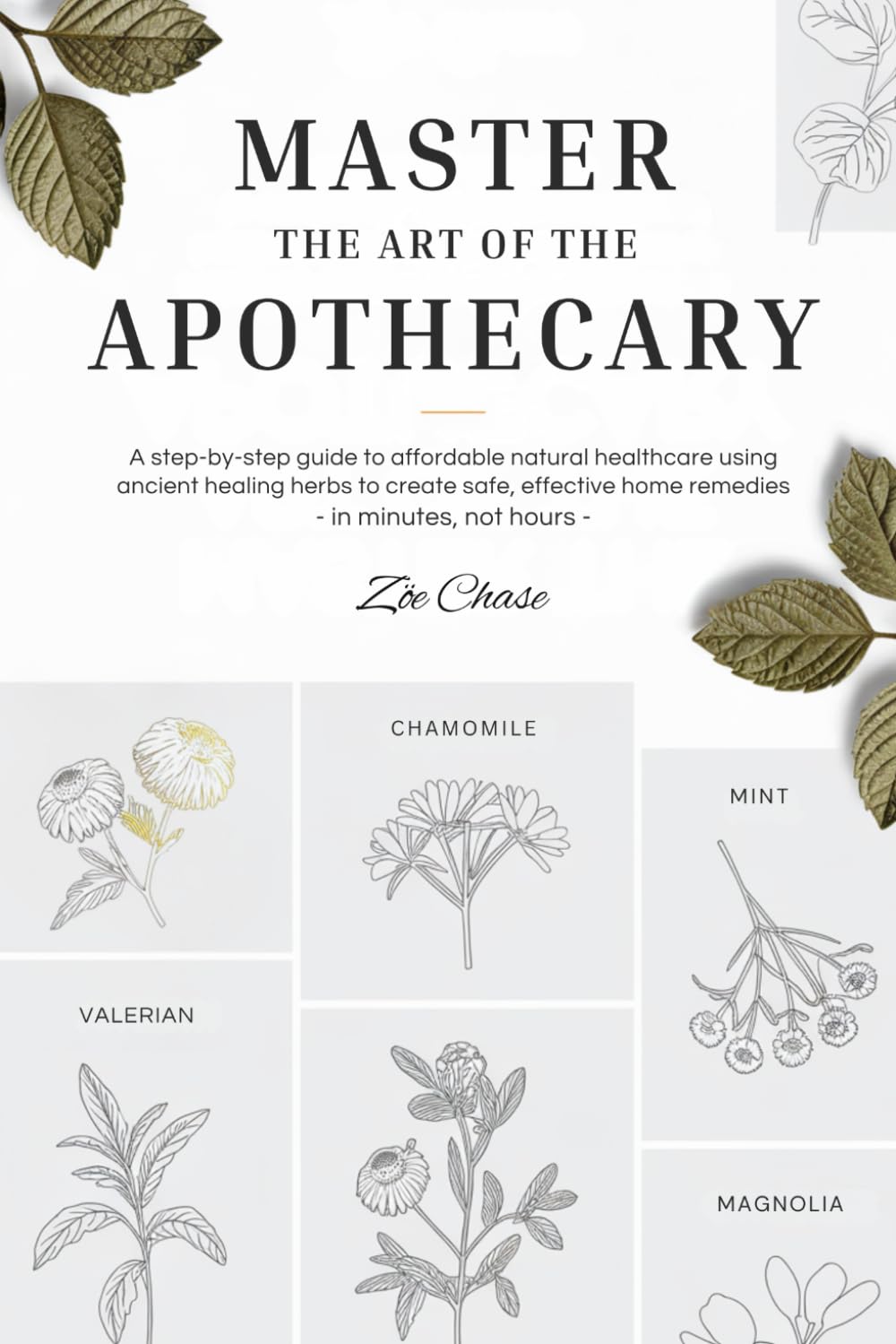 Master the Art of the Apothecary: A Step-by-Step Guide to Affordable Natural Healthcare Using Ancient Healing Herbs to Create Safe, Effective Home