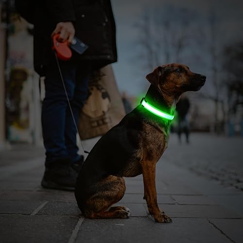 Miniatura 7 de Collar para perro con luz LED, recargable por USB, collares brillantes ajustables para perros, collar de seguridad reutilizable para perros