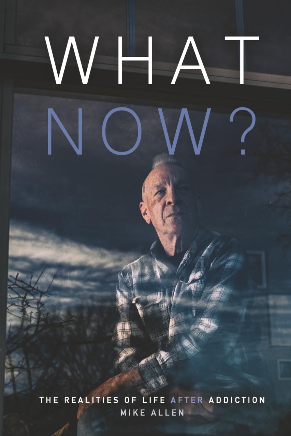 What Now?: The Realities of Life After Addiction