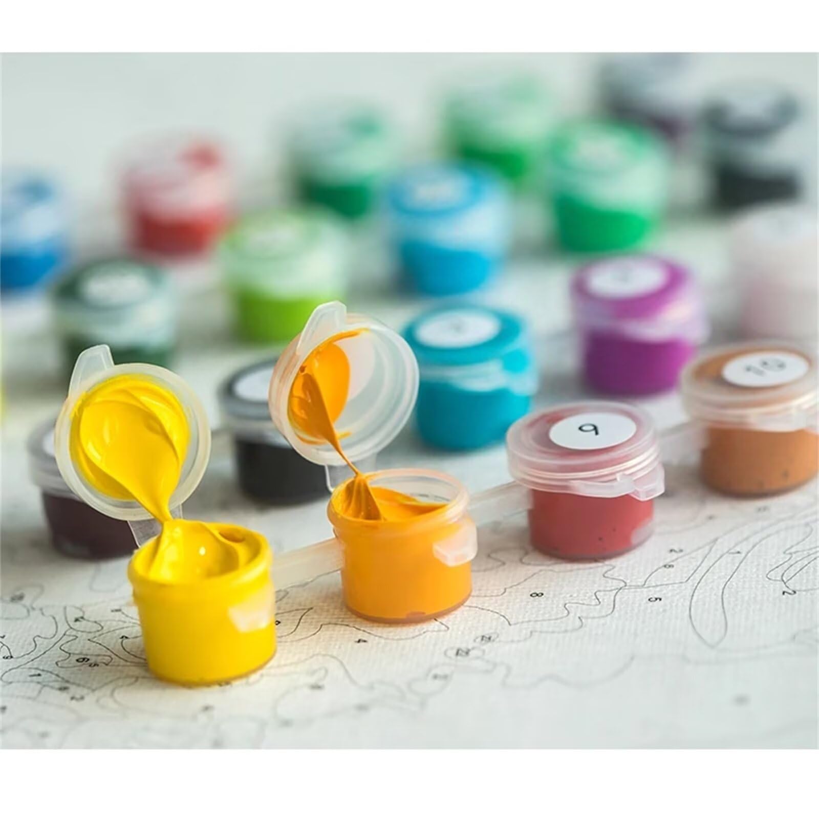 Dipingere con i Numeri Adulti Giappone, Paint by Numbers Cartone animato Quadri da Dipingere Numerati, Hobby Creativi Fai-da-Te Kit Pittura Adulti Decora la Casa Regalo 60 x 80 cm (con Telaio), *829