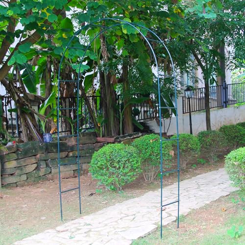 7.9 Ft H x 4.6 Ft W Green Metal Pergola