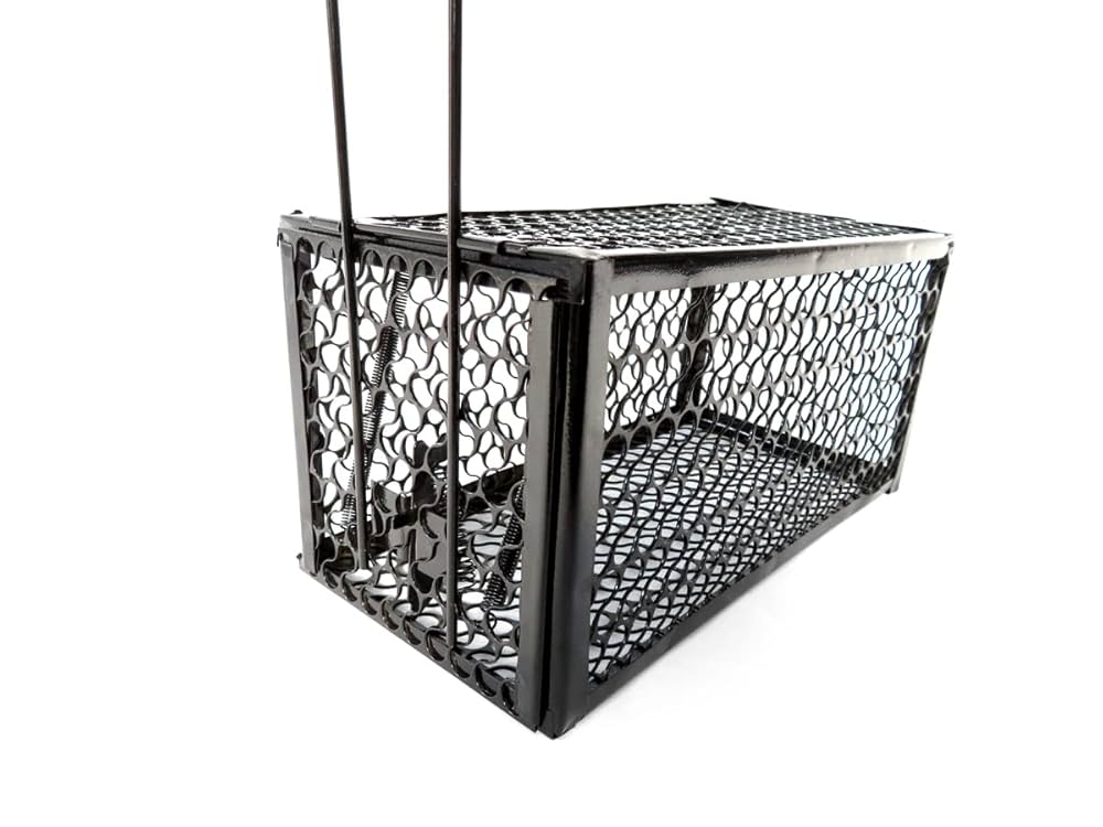 【海】明治金工　銀製　可愛い鼠　ネズミ　重量約97.5g　専用箱付 純金『干支 / ねずみ 』1g かわいい資産【BABYGOLD】 | JUNGOLD