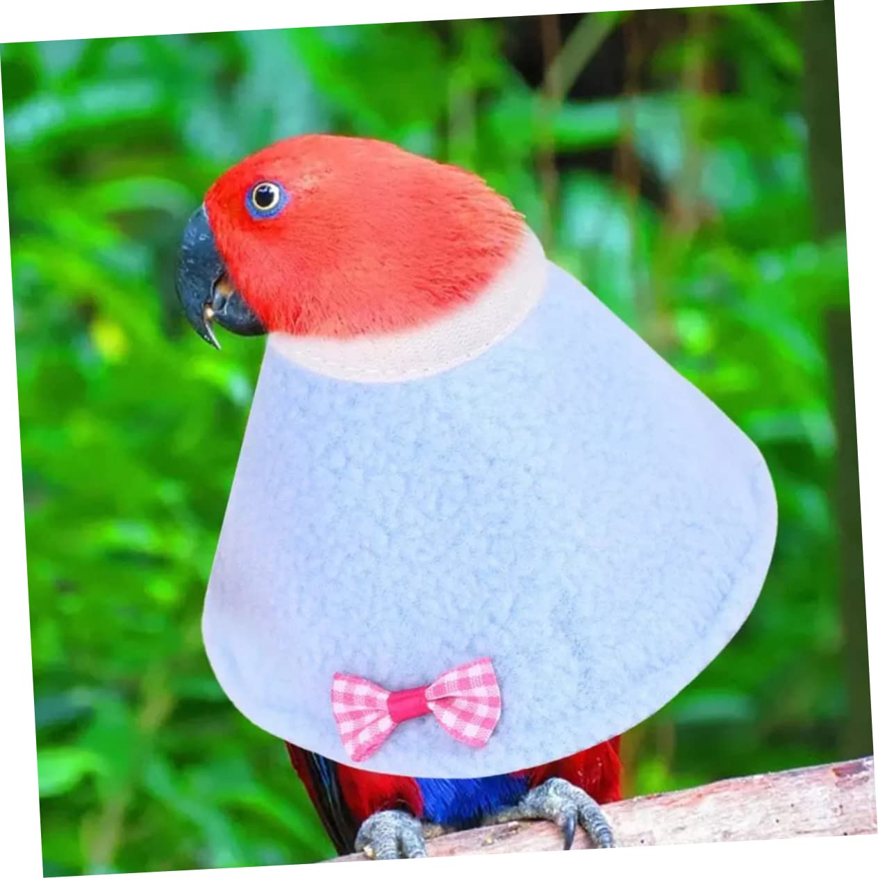 Happyyami Pet Birds Parrots -Scratch Elizabethan Ring 2 Pieces Soft Recovery Collar Bow Bird Collar for Surgery Random