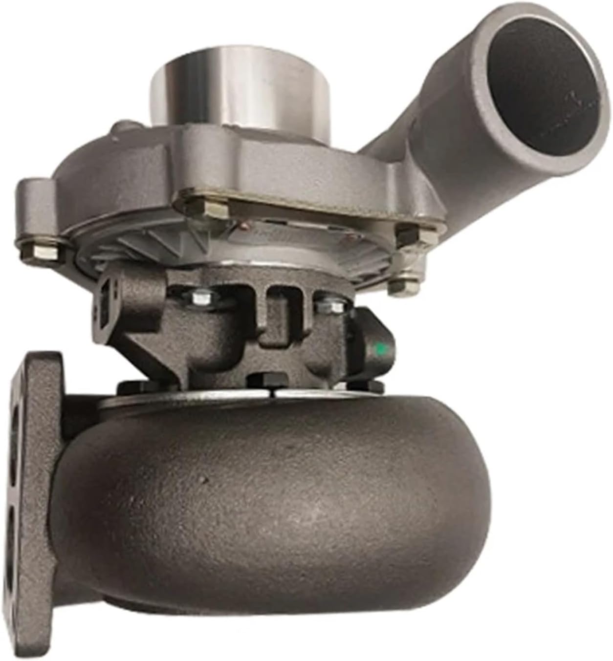 宿根 フランス直輸入 ライラック『カルベティエム』『プレジデント