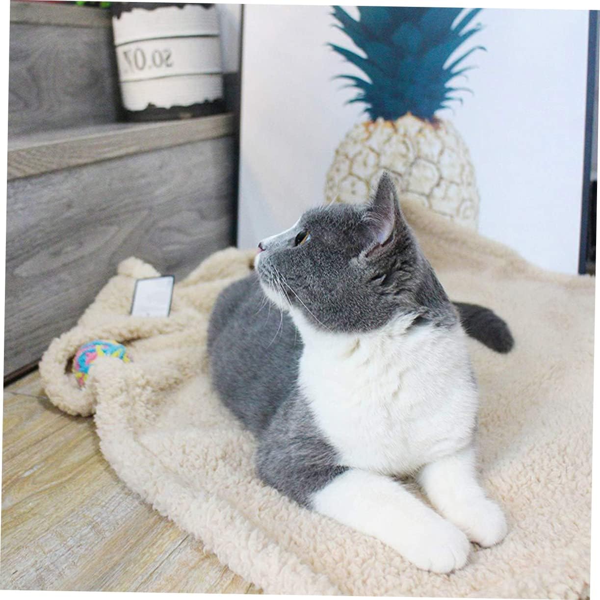 Comfortable Plush Pet Dog Blanket Cushion Beige Lightweight Sleep Mat for Cats Dogs for Home Floor Use Keeps Pets Warm Cold Weather