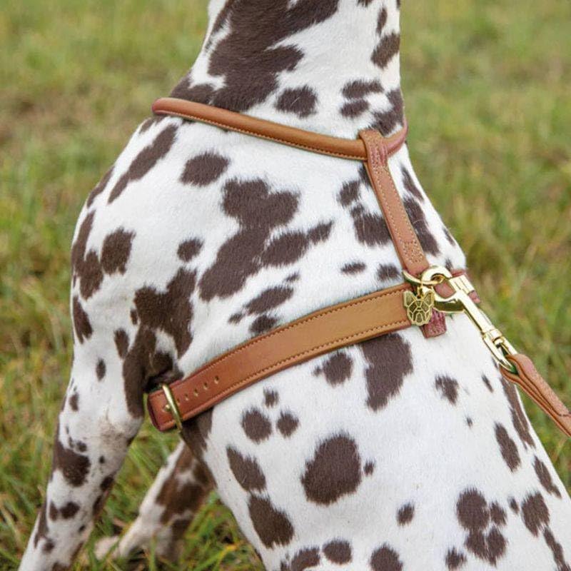 DIGBY & FOX Shires Rolled Leather Harness