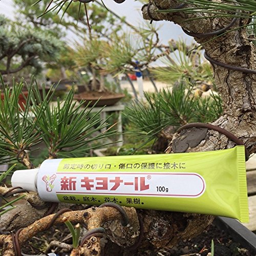 Kiyonal New Bonsai Pruning Cutting Paste 100G Made In Japan #TOP4